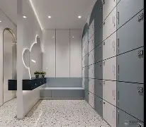 埃弗顿对阿斯顿维拉